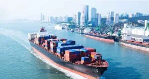 Read more about the article Marine